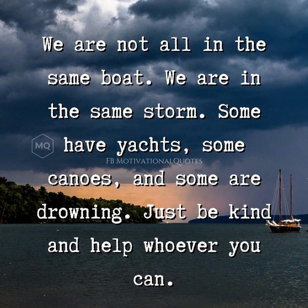 Meet your Posher, Zandy - Picture 4 of 16